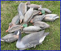 Lot of 13 Vintage Duck Geese Decoys Flambeau Woodland