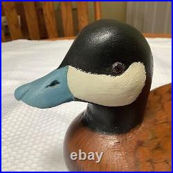 Magnificent Drake Ruddy Duck Decoy! Hand Painted By Claire Molson