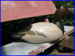 Mamouth Evans Duck Decoy Canvasback Drake Mason