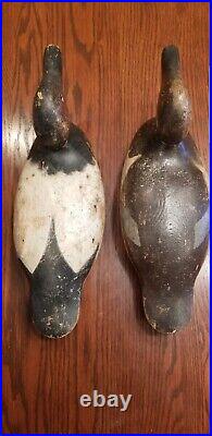 Mason Canvasback Pair Glass Eye Excellent Early All Original Vintage Duck Decoys