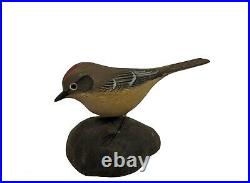 Miniature Kinglet Songbird Jess Blackstone