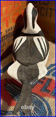 OLD SQUAW Drake Duck Decoy Solid Wood Hand Carved Painted 2 Feet Long