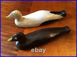 PAIR of Vintage Common Eider Miniature Duck Decoys Mahone Bay Nova Scotia