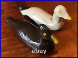 PAIR of Vintage Common Eider Miniature Duck Decoys Mahone Bay Nova Scotia