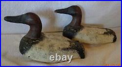 Pair Unknown Canvasback Duck Decoys