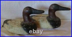 Pair Unknown Canvasback Duck Decoys