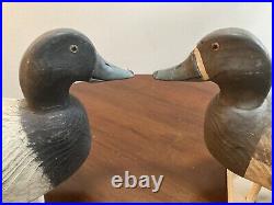Pair of Blue Bill Ducks Decoys -Vintage -Signed CAL THOMASWeighted. Glass eyes