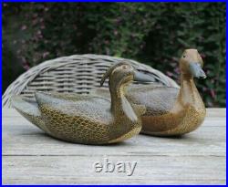 Pair of W. S. Bushnell hand-carved, painted Decoys Wood Duck and Pintail Hens