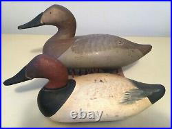 Pair of Working Canvasback Duck Decoys Madison Mitchell Eastern Shore 1950