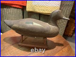 Paul Gibson (1902-1984) Havre de Grace, MD Blue Winged Teal Hen Duck Decoy Nice