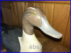 Pintail Drake Duck Decoy Early Madison Mitchell All Original