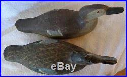 Pratt Bluewing Teal Pair Wood Duck Decoys