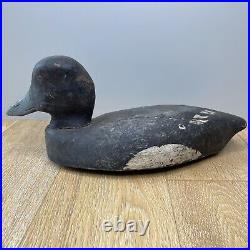 RARE Antique 1890s 14 Greater Scaup Duck Hollow Wood Carved Decoy Bufflehead D1