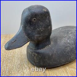 RARE Antique 1890s 14 Greater Scaup Duck Hollow Wood Carved Decoy Bufflehead D1
