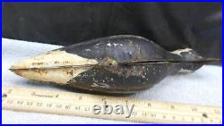 RARE Antique Folding Tin Metal Decoy Bird Target Hunting
