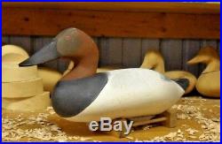 R. Madison Mitchell of Havre De Grace Maryland Drake Canvasback
