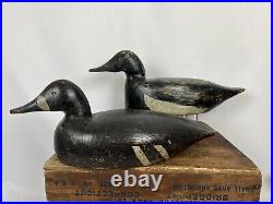 Racey Dodge Bay Cape Vincent NY Bluebill Decoy Pair Great Paint And All Orig