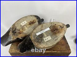 Racey Dodge Bay Cape Vincent NY Bluebill Decoy Pair Great Paint And All Orig