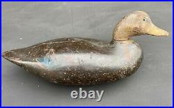 Rare 1939 Saybrook Wildfowler Black Duck Decoy