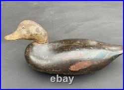 Rare 1939 Saybrook Wildfowler Black Duck Decoy
