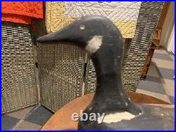 Rare Vintage Harry Davis Waqoit MA Circa 1920 1930 Canada Goose Decoy Original
