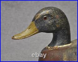 SCHMIDT influenced mallard DRAKE duck decoy balsa body from MI large decoy