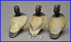 TRIO (3) of East Coast style DIVER DUCK decoys canvasback, red head, blue bill