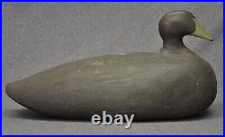 Unknown VINTAGE COMMON EIDER HEN duck decoy decoys FOLKY very large OP