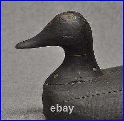 VINTAGE East Coast Bufflehead hen duck decoy decoys OP FOLK ART square peg head