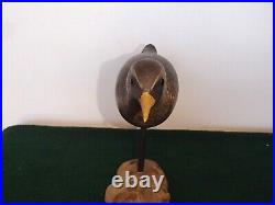 Very Rare 1990s Sora Rail shorebird decoy by Steve Morey Tuckerton NJ