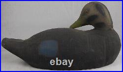 Vintage Animal Trap Company Pascagoula Mississippi Decoys Wood Preen Black Duck