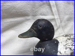 Vintage / Antique Bluebill Duck Working Decoy St. Clair Flats Michigan Mason