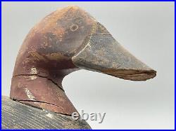 Vintage Antique Canvasback Drake Duck Decoy Havre De Grace Maryland Large