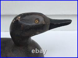 Vintage/Antique Duck Decoy Glass Eyes