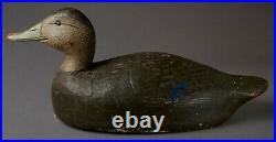 Vintage Black Duck Decoy By Unknown Carver