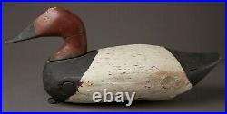 Vintage Canvasback Drake Duck Decoy By Unknown East Coast Carver