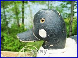 Vintage Duck Decoy Goldeneye Drake Signed Tl Gananoque Ontario Canada