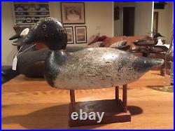 Vintage Evans BlueBill Drake Duck Decoy Original Paint And Stamped Evans Decoy