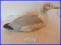 Vintage Folk Art Seagull Wood Confidence Decoy Glass Eyes GREAT