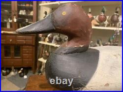 Vintage Jim Currier Canvasback Drake Duck Decoy Nice Original Condition