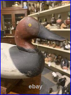 Vintage Jim Currier Canvasback Drake Duck Decoy Nice Original Condition