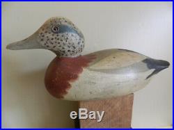 Vintage Mason Drake Widgeon Duck Decoy Nice Restored Condition