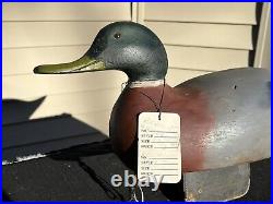 Vintage Mason Mallard Drake Duck Decoy C. 1921 Gene L Hendrickson Collection