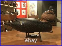 Vintage Old Unused Black Duck Decoy By Ed Coradetti Bristol Pa Orig Paint Hollow