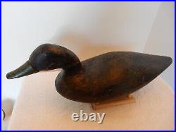 Vintage Rare Swimming New England, Mass. Black Duck Wood Decoy Circa 1920