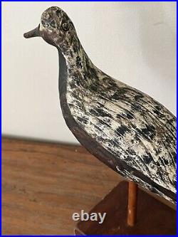 Vintage Reggie Birch Carved Wood Black Bellied Plover Shorebird Decoy With Stand