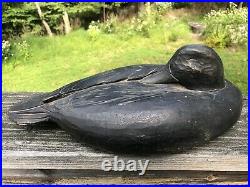 Vintage Solid Wood Carved S Chase Nantucket Sleeping Black Duck Decoy Very Rare