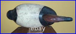Vintage Will Snake Heverin Canvasback Decoy Charlestown, MD Awesome Form